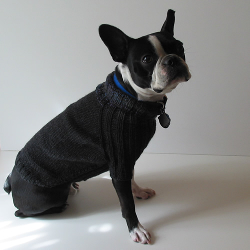 Mojo Dog Sweater 001 by Cinnamon McCullum | AllegraNoir.com